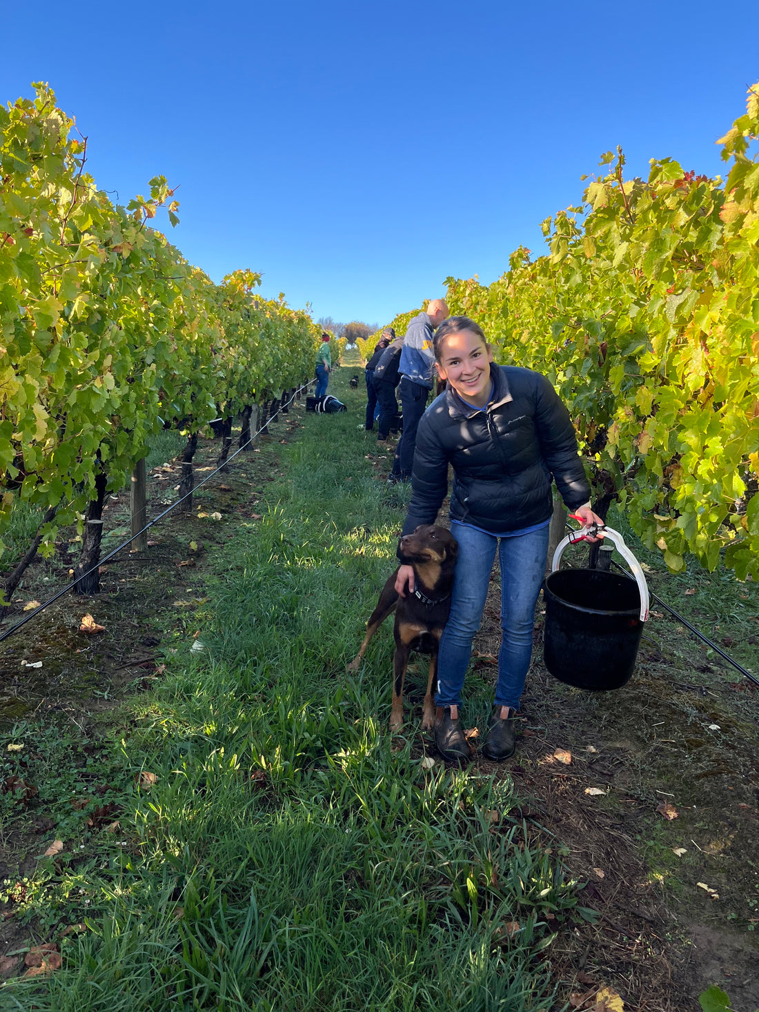 Nine students awarded the inaugural Wine Australia 'Further Afield' scholarship